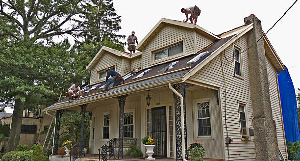 Roof Gutter Cleaning in Eton, GA